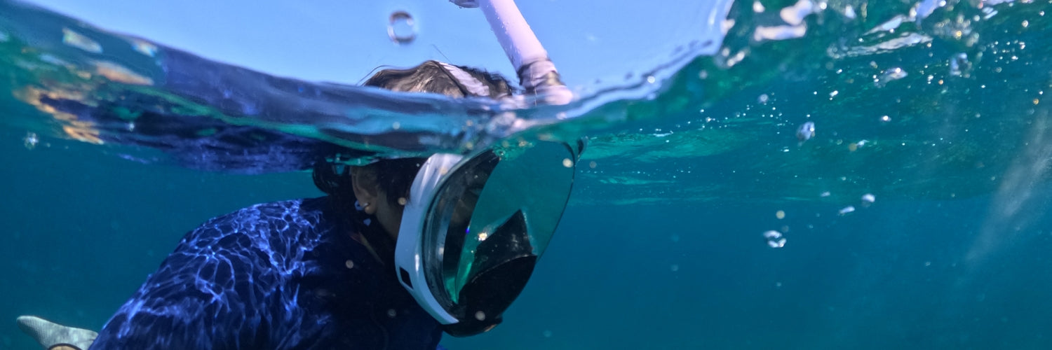 Tipps für Anfänger: So startest Du sicher mit dem Schnorcheln